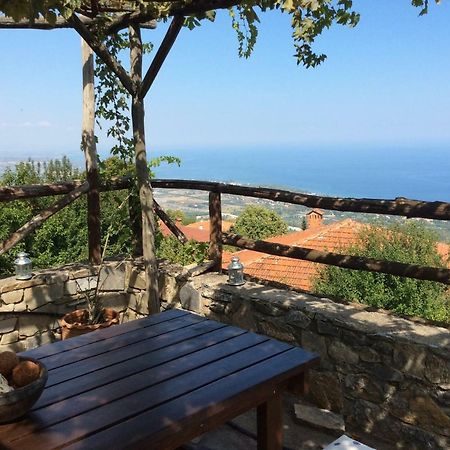 Villa Pasithea Panteleimon Exterior photo